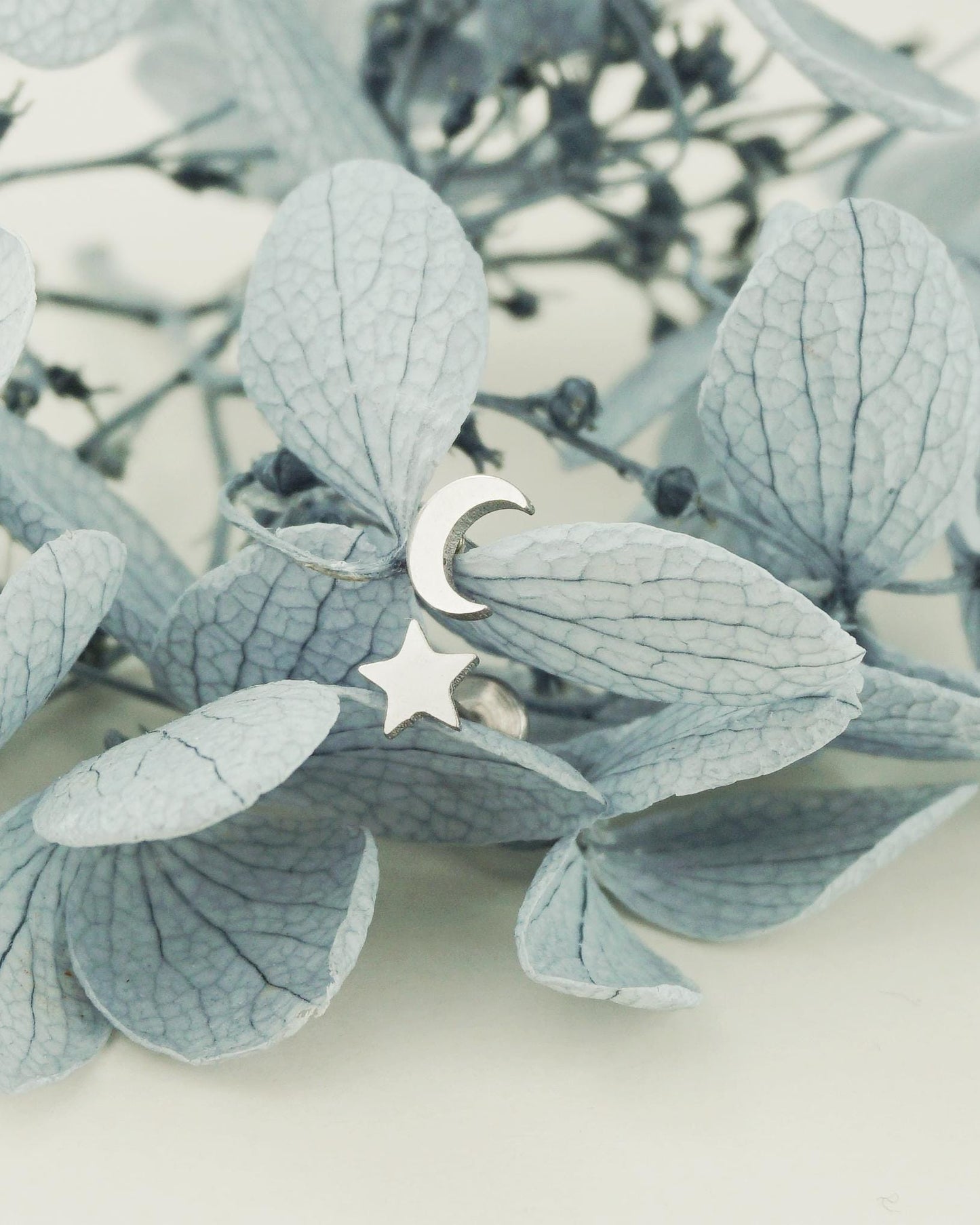 Pair of Stainless Steel Tiny Crescent Moon & Star Push-in Stud Earrings in Steel or Gold