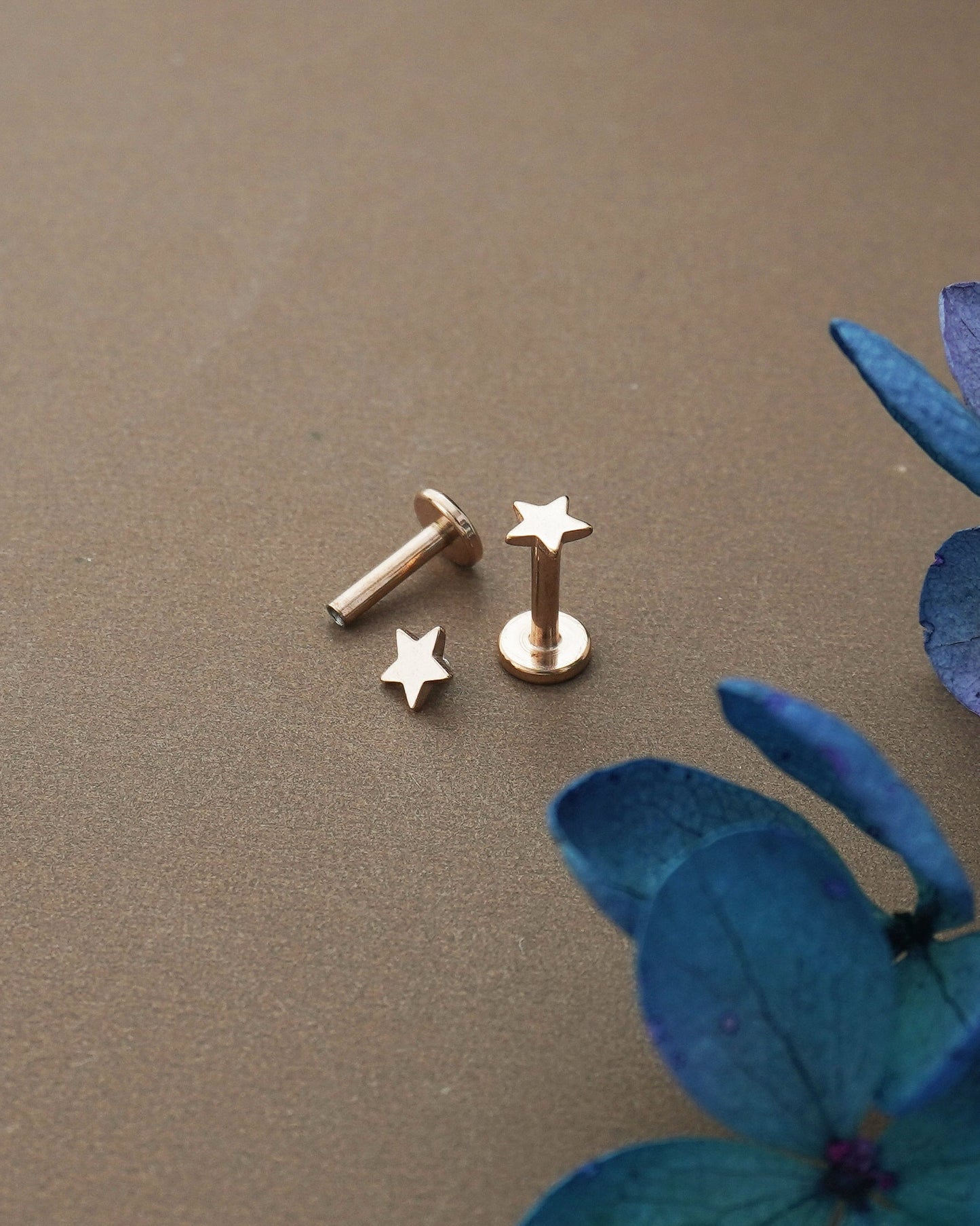Tiny Star Stainless Steel Stud Earring in Steel, Black, Gold or Rose Gold, Flat Screw Back, 6mm or 8mm post