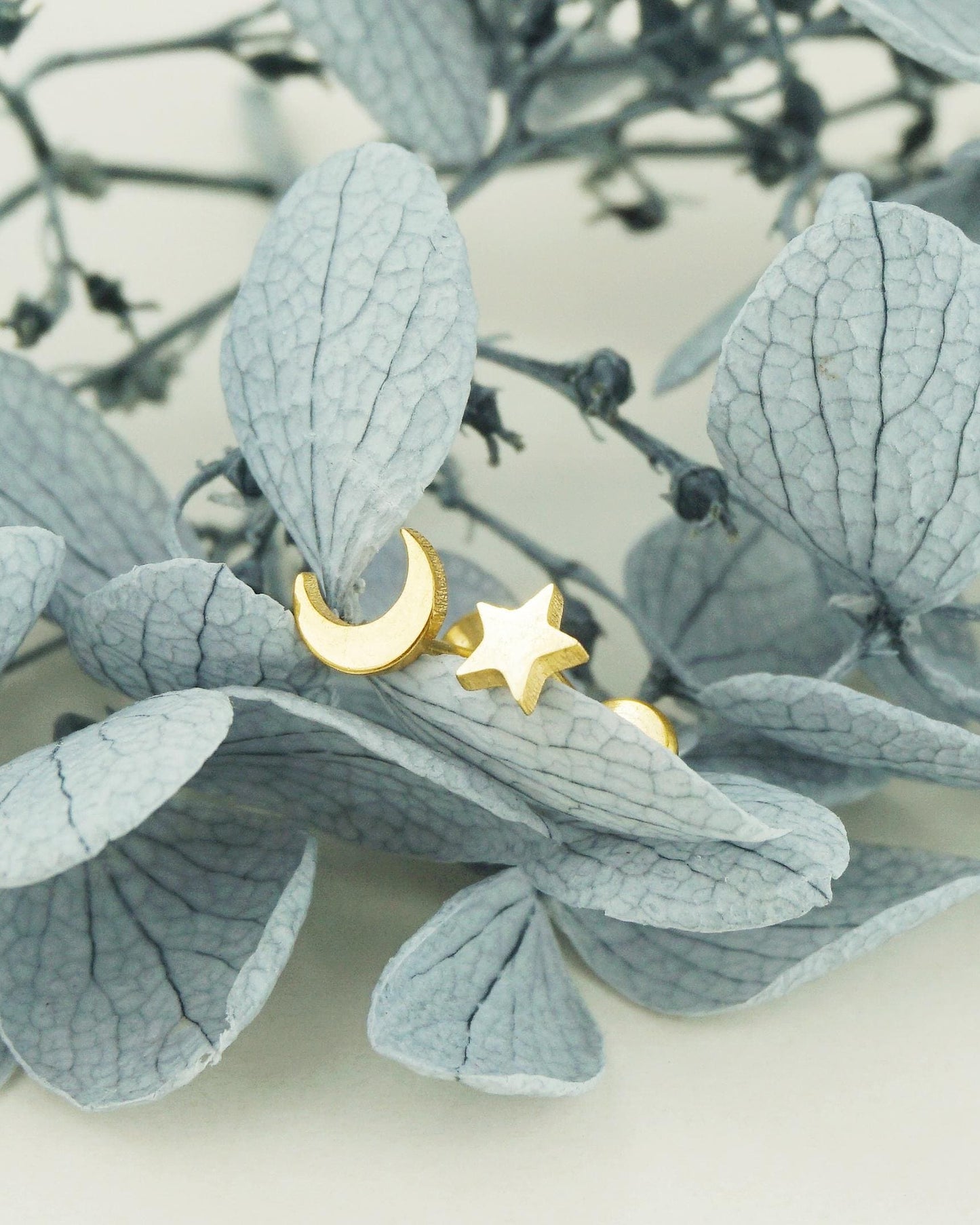 Pair of Stainless Steel Tiny Crescent Moon & Star Push-in Stud Earrings in Steel or Gold